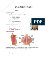 Exploracion Fisica