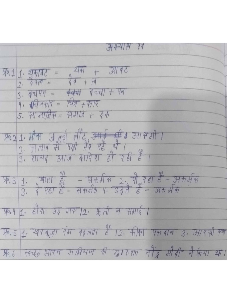 Hindi Holiday Homework 11.jan 2022 PDF