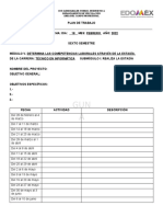 PLAN DE TRABAJO (Apellido Paterno Apellido Materno Nombre)