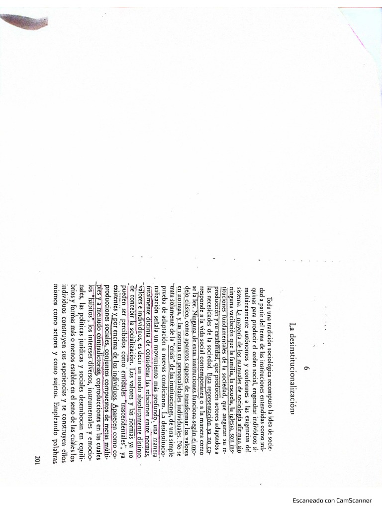 Desinstitucionalizacion PDF