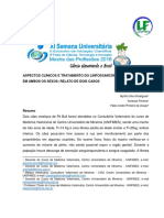 ASPECTOS CLÍNICOS E TRATAMENTO DO LINFOSSARCOMA VENÉREO CANINO EM AMBOS OS SEXOS - RELATO DE DOIS CASOS