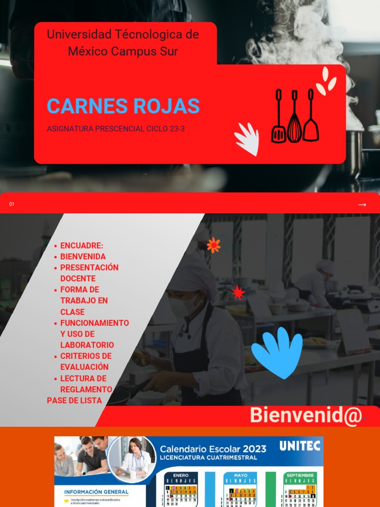 curso-de-carnes-rojas-en-la-utm-pdf
