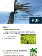 Ud3 Clasificacion y Distribucion de Palmeras