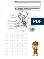 Sopa de Letras Aparato Respiratorio