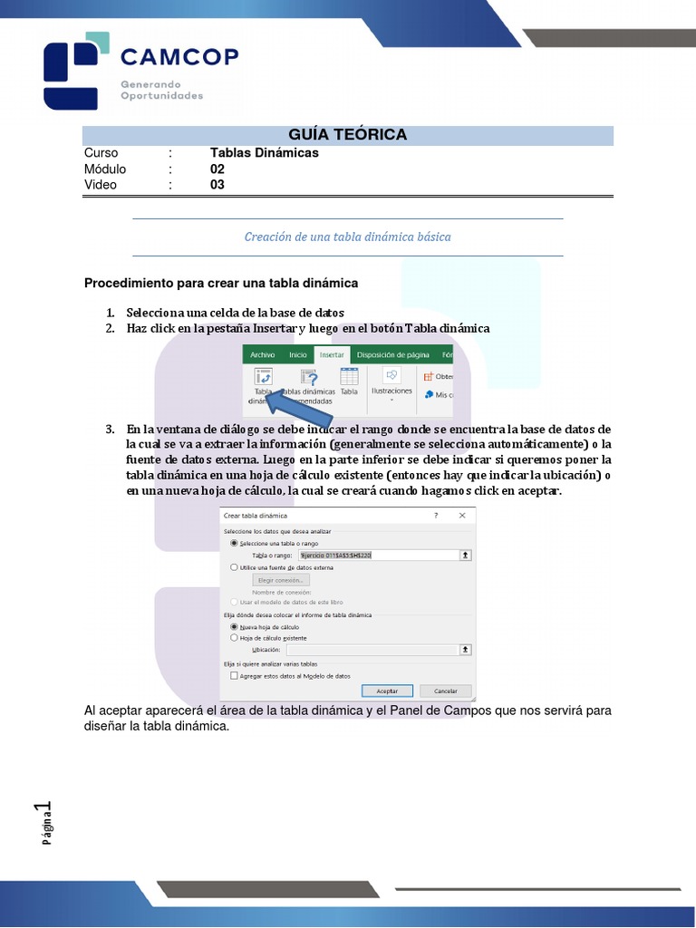 Video 03 - Procedimiento para Crear Una Tabla Dinámica | PDF