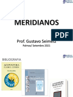 Meridianos P Ig e BP Gustavo