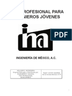 Guía Profesional para Jóvenes Ingenieros