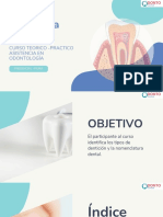 Anatomia Dentaria