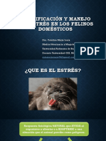 2 Identificación y Manejo Del Estrés en Los Felinos