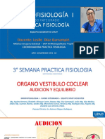 3 Semana Presentacion Clase Practica Fisiologia Audicion - 2021 - 10