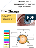 Year 8 Eye Parts Starter