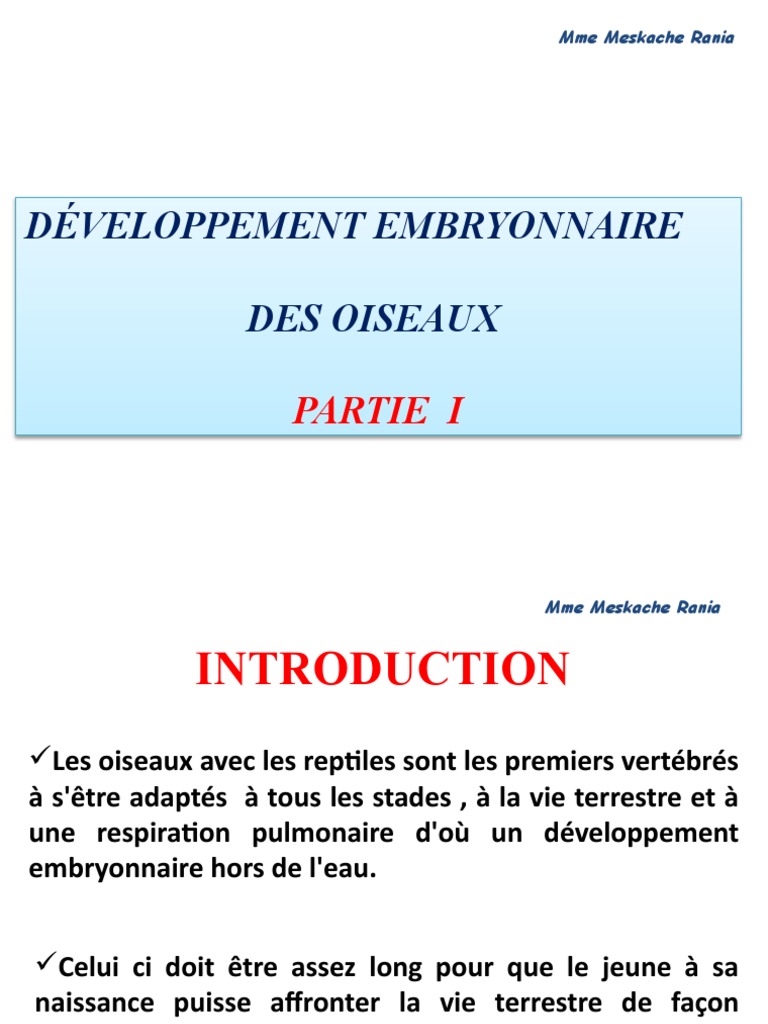 Développement Embryonnaire Des Oiseaux Partie 1 | PDF | Biologie | Zoologie
