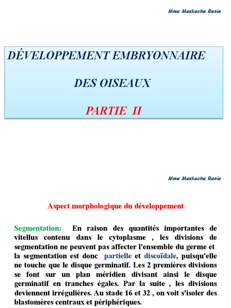 Développement Embryonnaire Des Oiseaux Partie 2 | PDF | Zoologie ...
