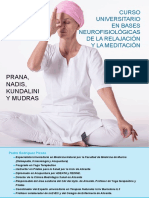 Prana, Nadis, Kundalini y Mudras