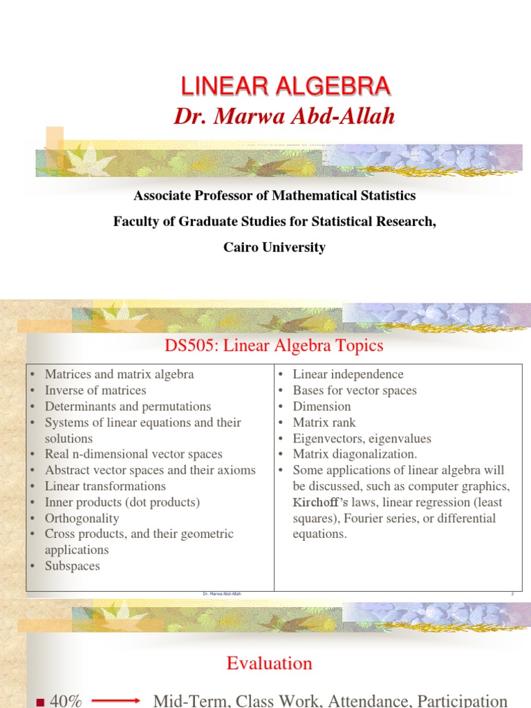 linear-algeb-lecture-1-download-free-pdf-matrix-mathematics
