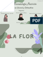 La Flor y Su Clasificación