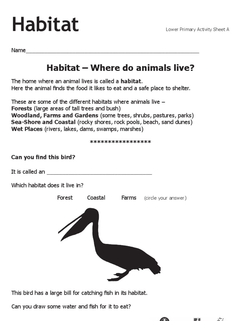 Grade 4 Plant Habitat Worksheet | PDF | Marsh | Habitat