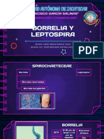 Borrelia y Leptospira