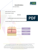 Evaluación Parcial 1 Dermatologia PDF