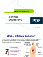 Sistema Endocrino