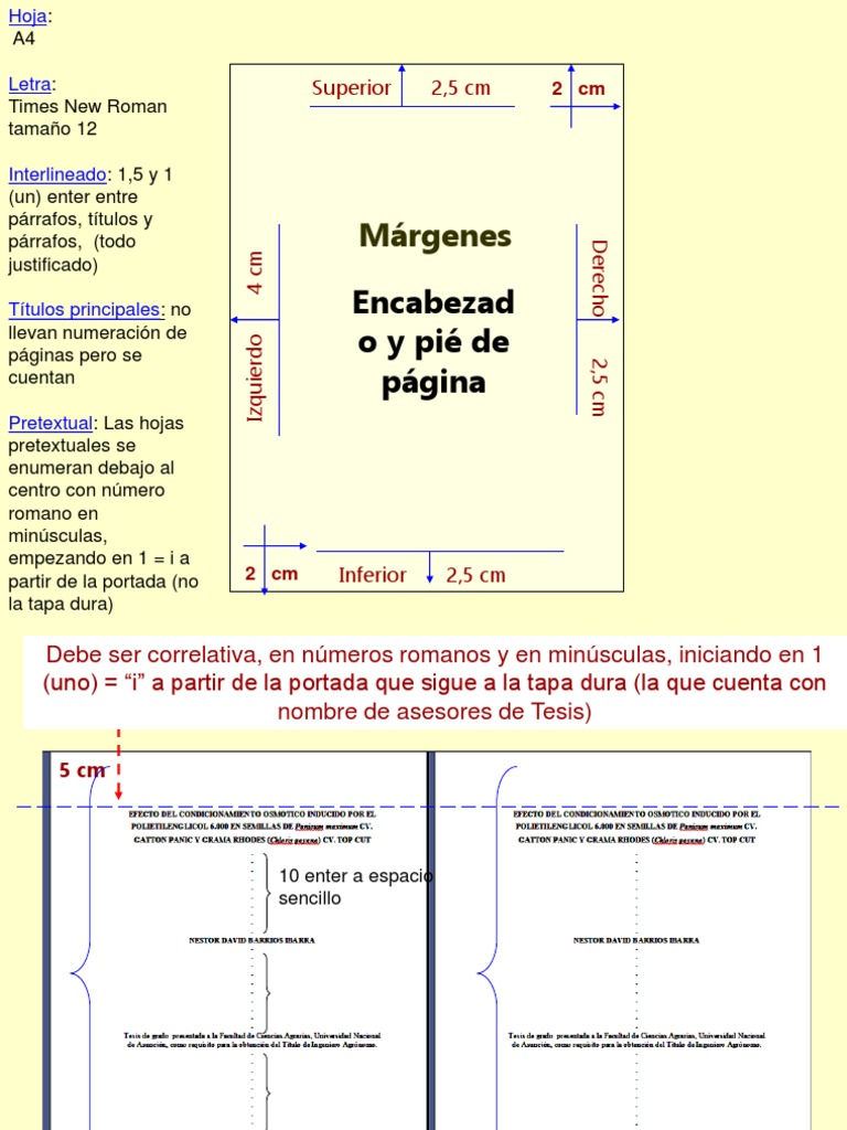 Formato de Tesis y Márgenes Específicos | PDF