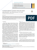 A systematic approach to quantitative Western blot analysis