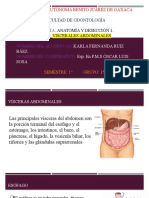 VISCERALES ABDOMINALES Diapositiva.