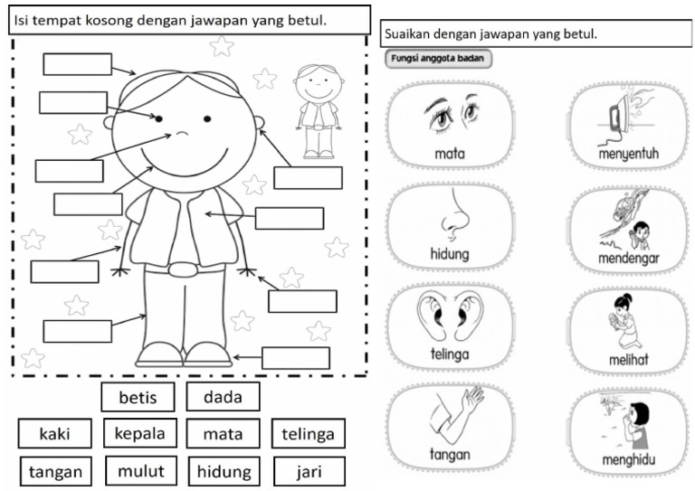 PK Worksheet | PDF