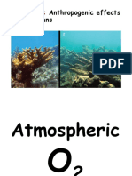 Anthropogenic Effects on Ocean Systems