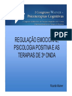 Regulacao Emocional