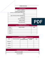 Formato Curriculum Vitae Modelo 1