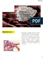 Patologia Clínica - Leucograma - 13-09-21