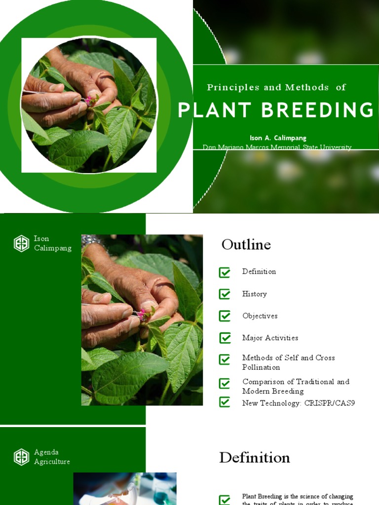 Plant Breeding PDF