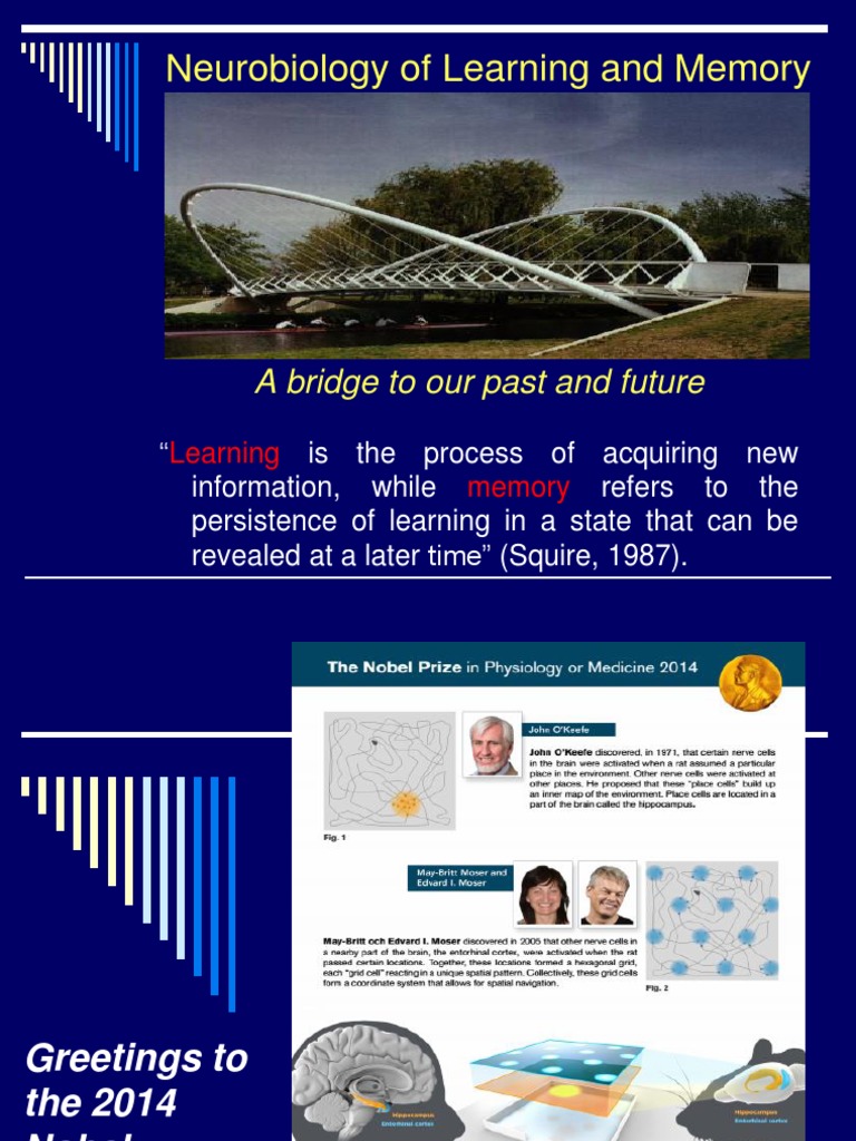 Neurobiology of Learning and Memory PDF