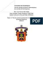 Tarea 13. Plan de Acción de Protección Al Consumidor y Propiedad Intelectual