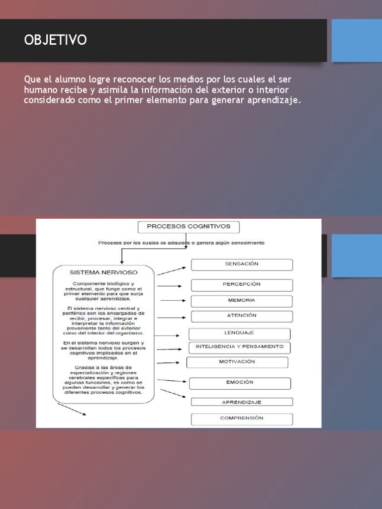 Sensacion Percepcion Atencion Y Memoria 2023 Pdf