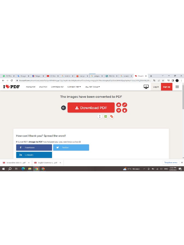 Screenshot 2023-05-19 122316 | PDF