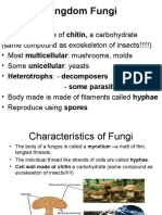 6 Fungi