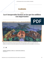 Las 8 Inesperadas Formas en Las Que Los Anfibios Son Importantes