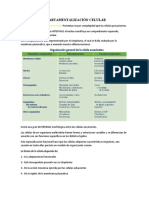 Compartimentalización celular: membrana plasmática, citoplasma y citoesqueleto