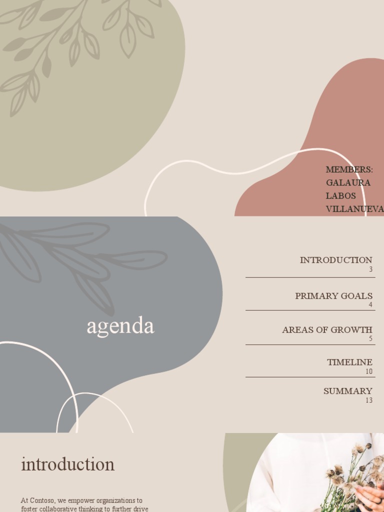 Contoso's Strategic Growth Plan 20XX | PDF | Art
