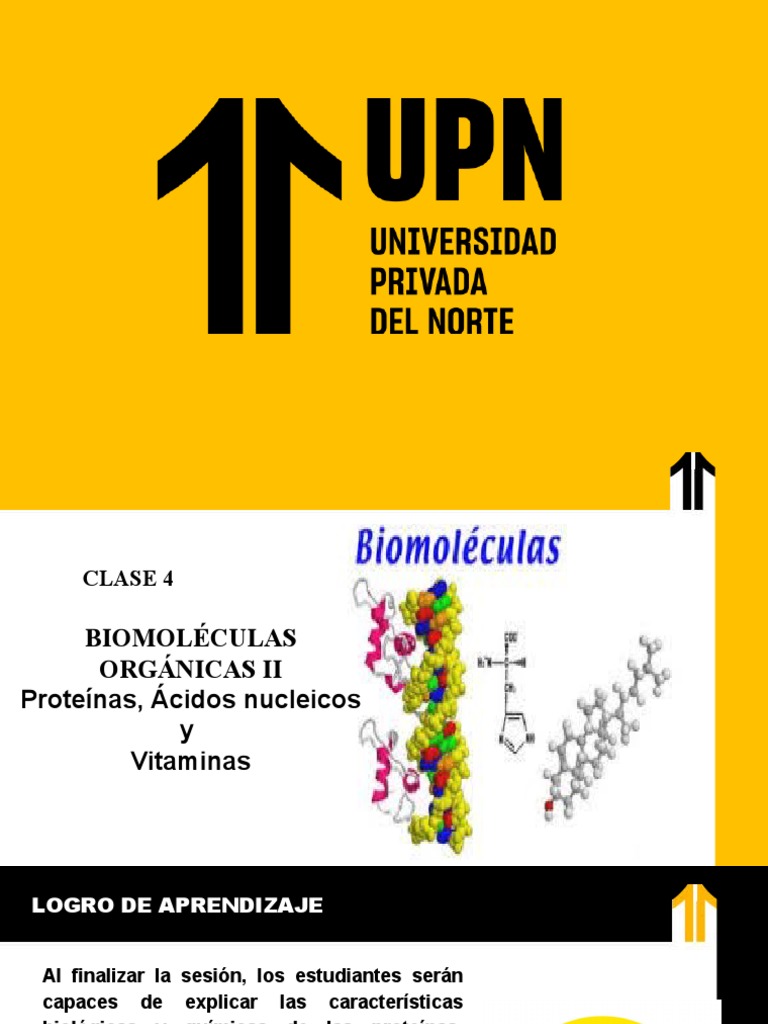 clase-4-pdf
