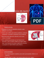 Semiología Del Bazo