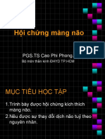 Yds - H I CH NG Màng Não Yds - PGS - Ts. Cao Phi Phong
