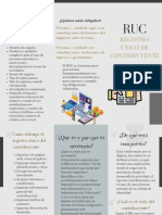 Tu RUC Debe Contener La Siguiente Información: Registro Único de Contribuyente