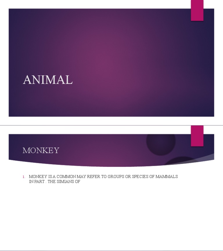 Understanding Monkeys and Their Species | PDF