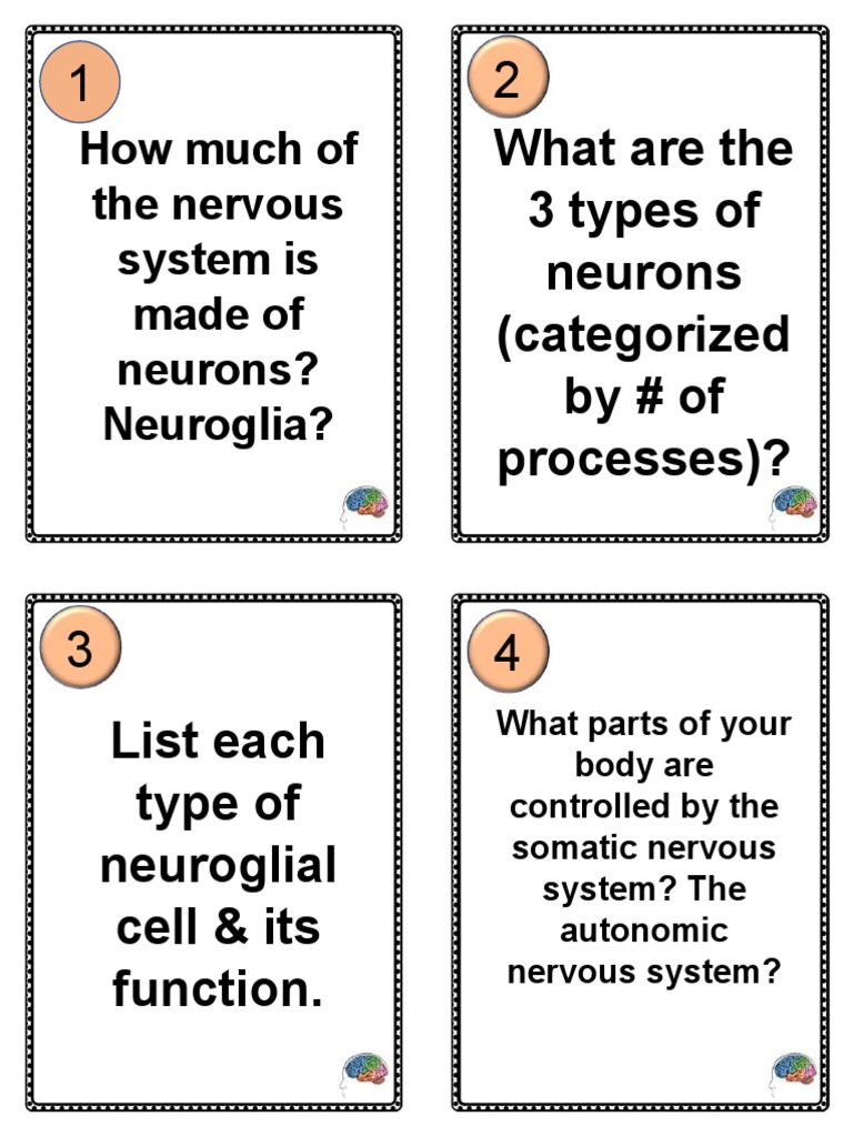 Types of Neurons and Nervous System Functions | PDF | Nerve | Nervous ...