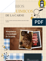 Cambios Bioquimicos de La Carne