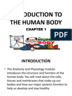 c1 Introduction To The Human Body New