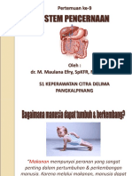 Pertemuan Ke-9 Sistem Pencernaan